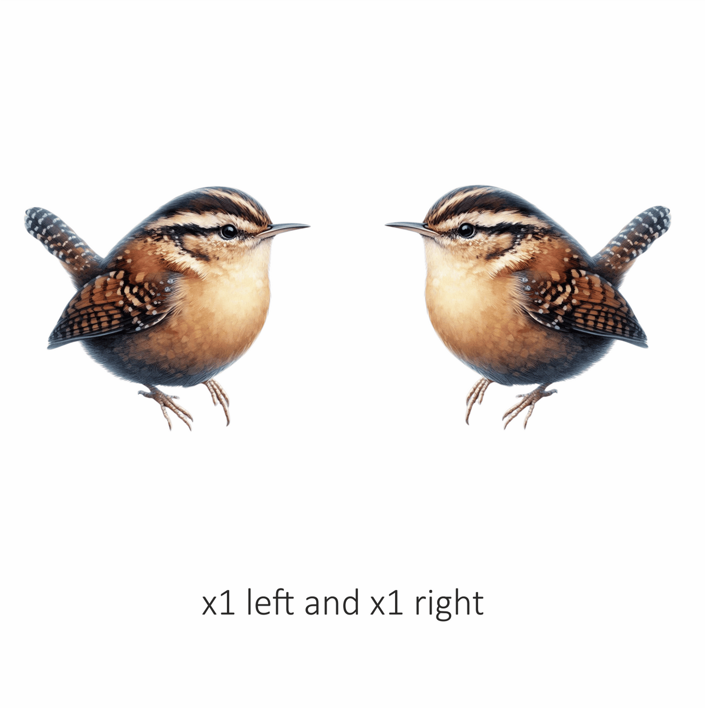 Wren Brown Bird Forest Vinyl Sticker Decal