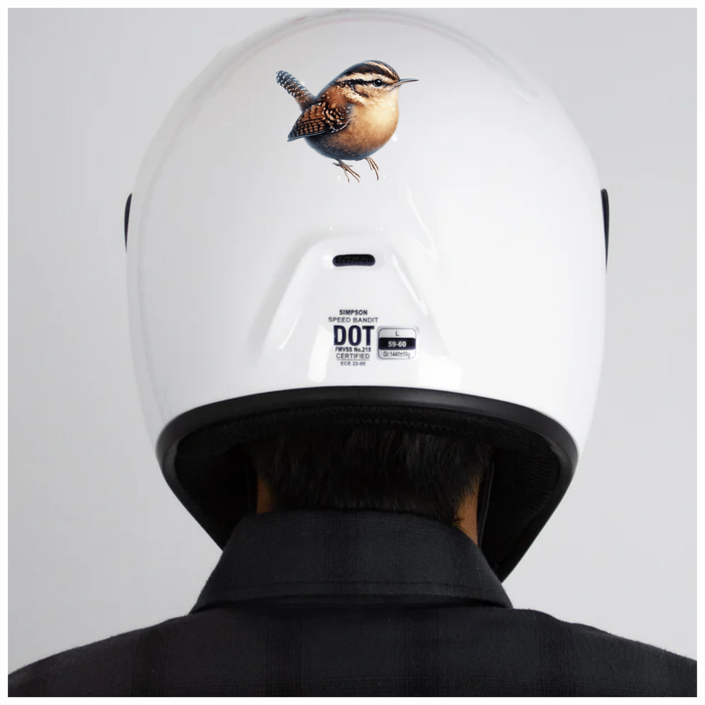 Wren Brown Bird Forest Vinyl Sticker Decal