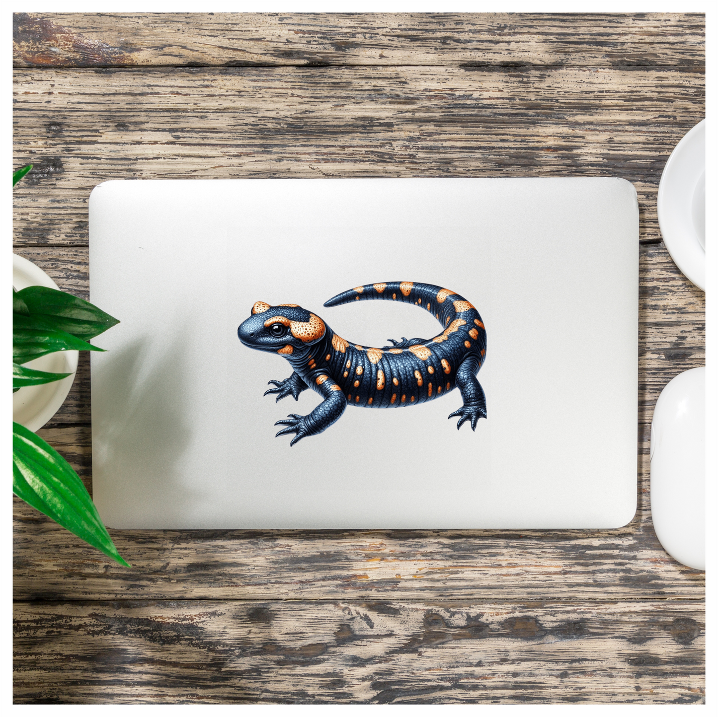 Salamander Orange Black Vinyl Sticker Decal