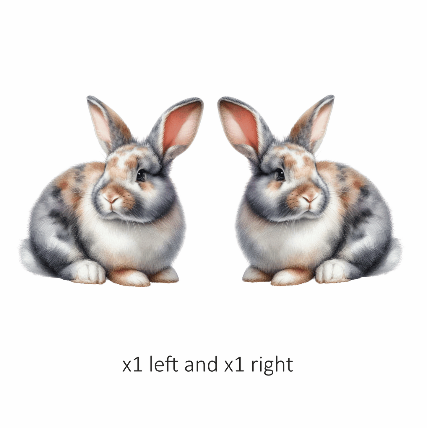 Rabbit Grey White Tan Vinyl Sticker Decal
