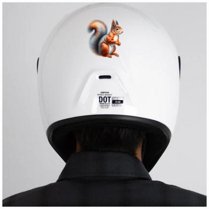 Orange White Squirrel Red Vinyl Sticker Decal