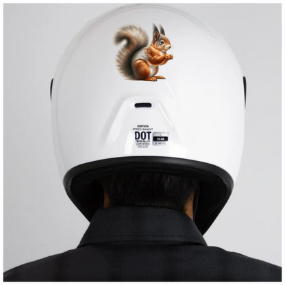 Red Squirrel Fluffy Tail Forest Vinyl Sticker Decal