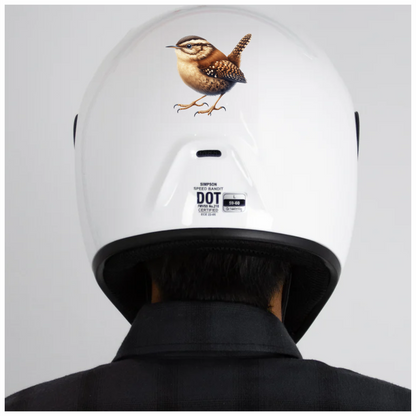 Brown Wren Small Bird Realistic Vinyl Sticker Decal