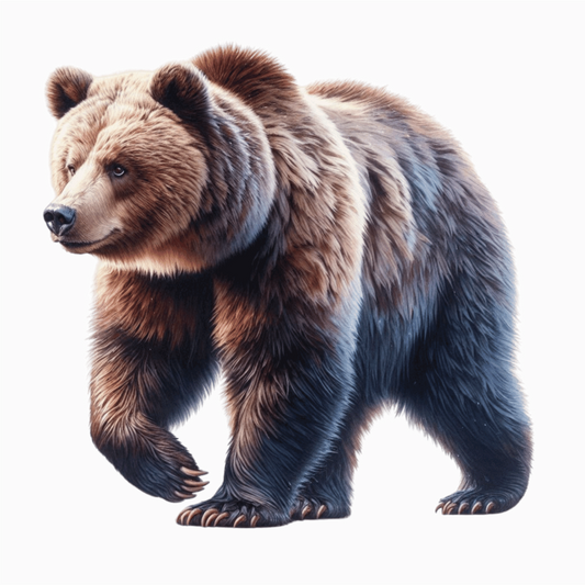 Brown Bear Large Strong Walking Vinyl Sticker Decal