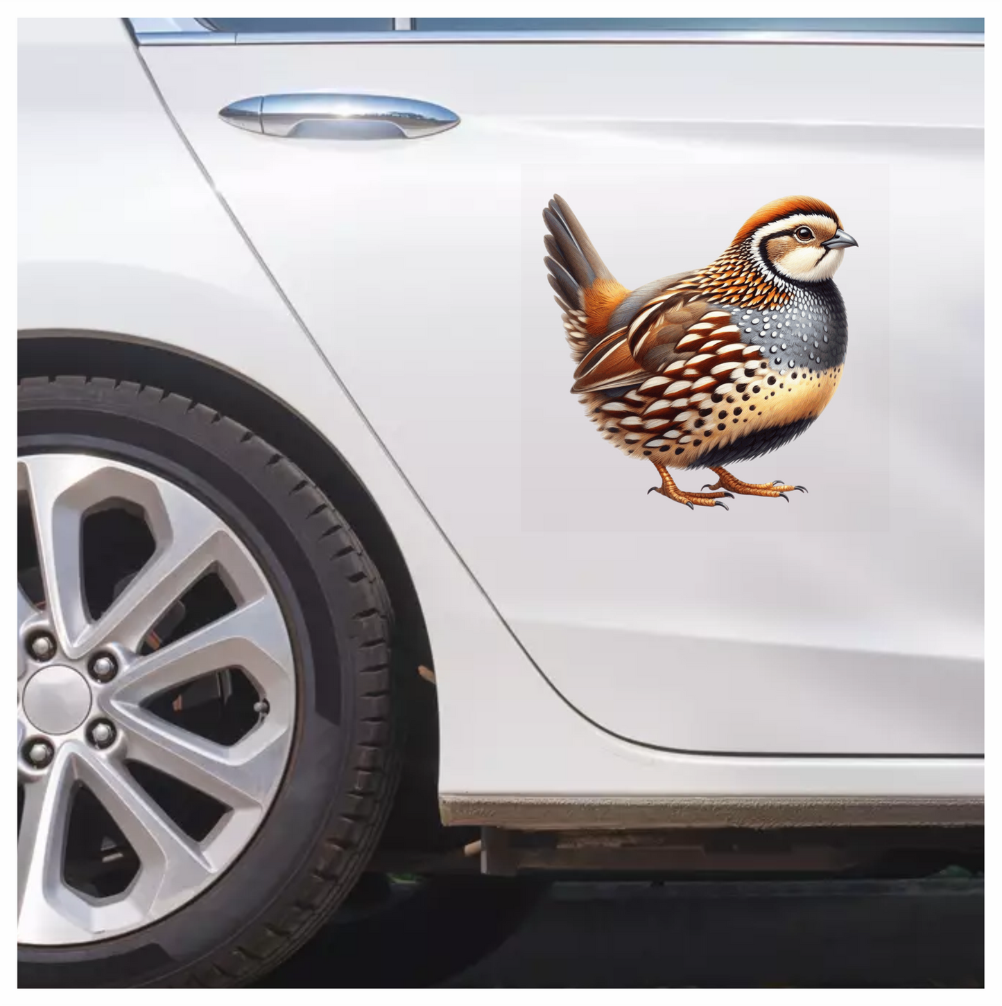 Brown Bird Quail Patterned Feathers Vinyl Sticker Decal