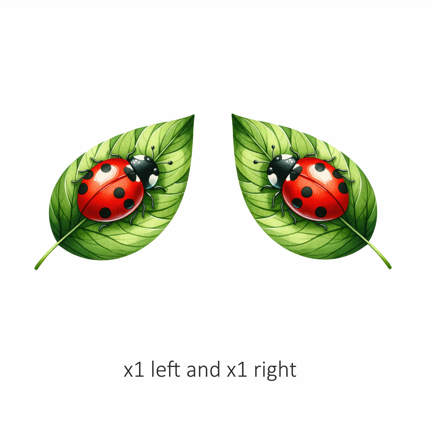 Red Ladybug Green Leaf Vinyl Sticker Decal