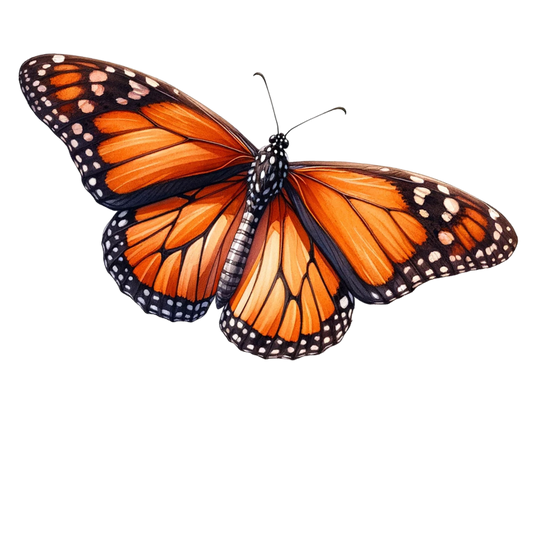Monarch Butterfly Orange Black Wings Vinyl Sticker Decal