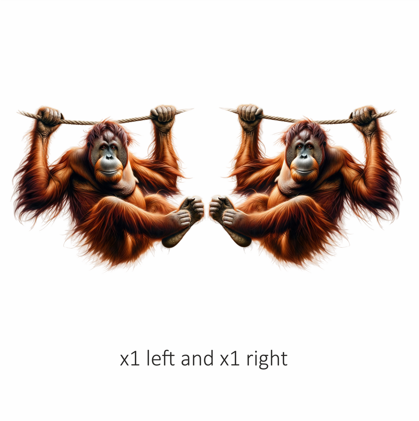 Orangutan Hanging Brown Fur Vinyl Sticker Decal