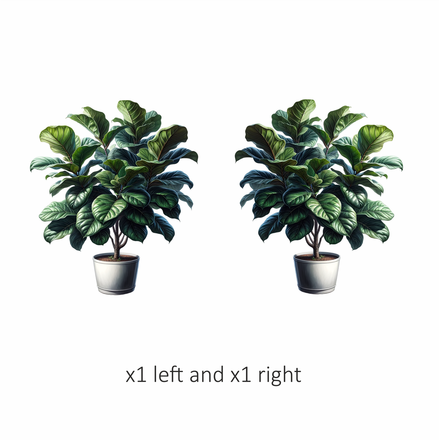 Fiddle Leaf Plant Green Vinyl Sticker Decal
