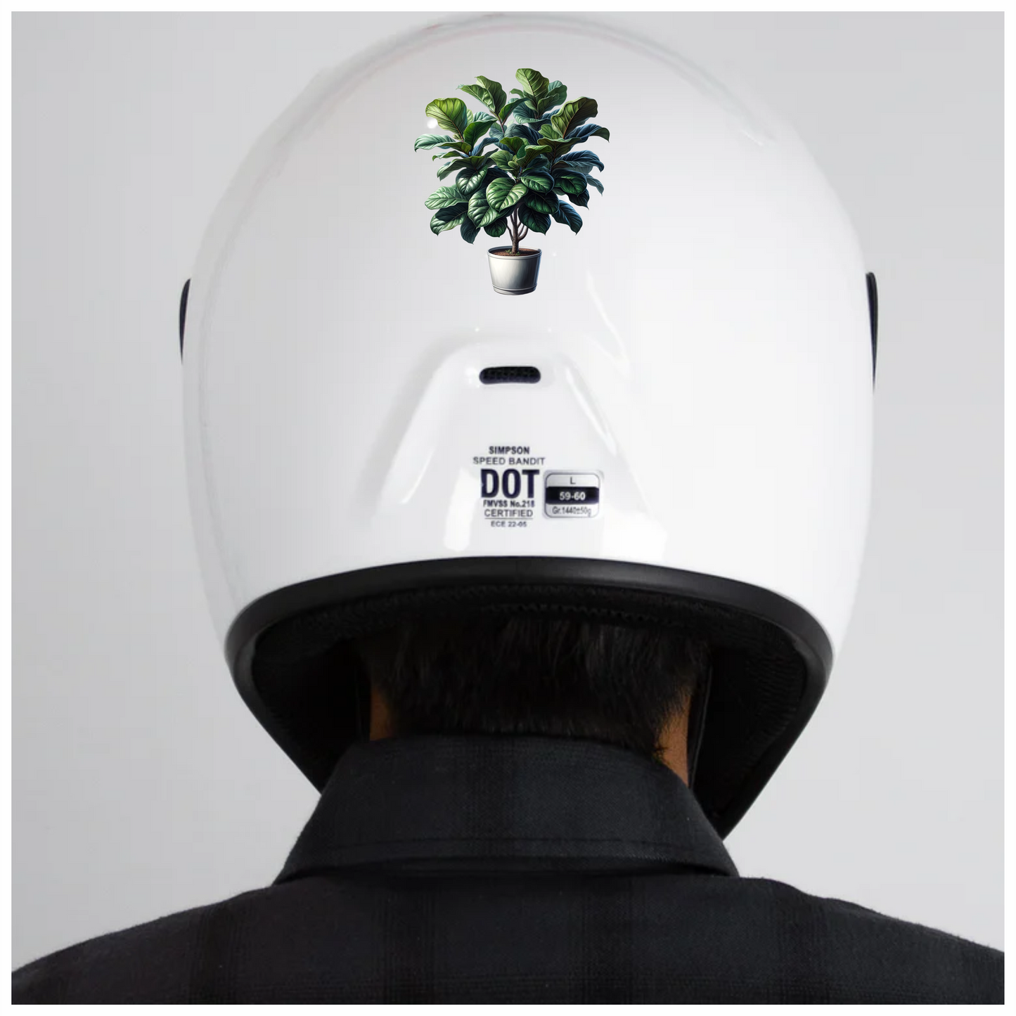 Fiddle Leaf Plant Green Vinyl Sticker Decal