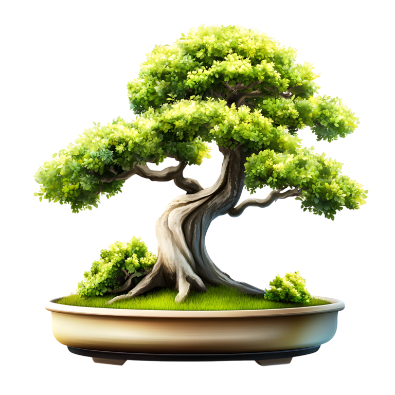 Tree Green Pot Bonsai Nature Vinyl Sticker Decal