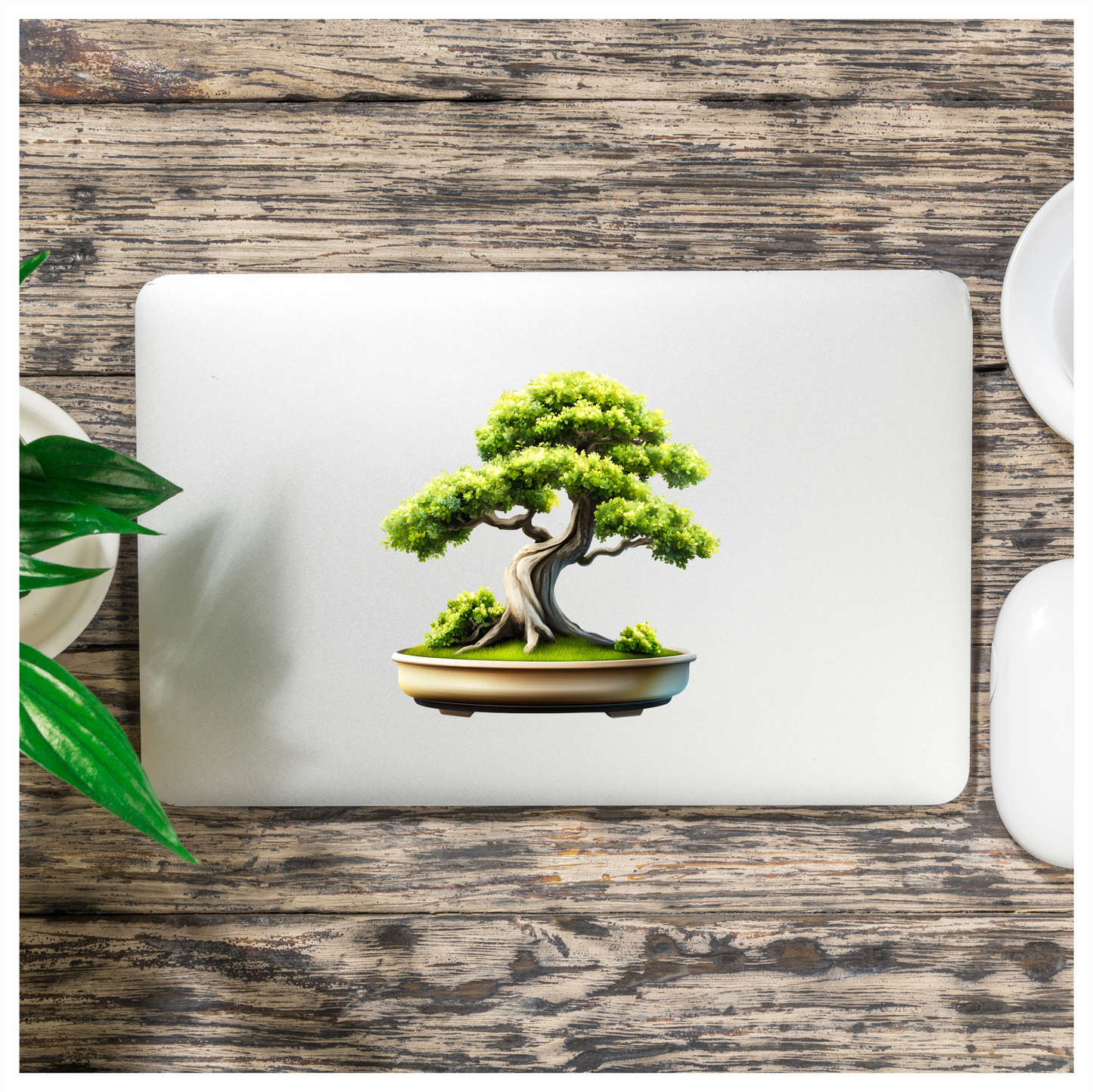 Tree Green Pot Bonsai Nature Vinyl Sticker Decal