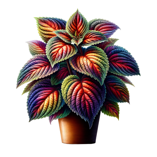 Colorful Leaves Plant Pot Vinyl Sticker Decal