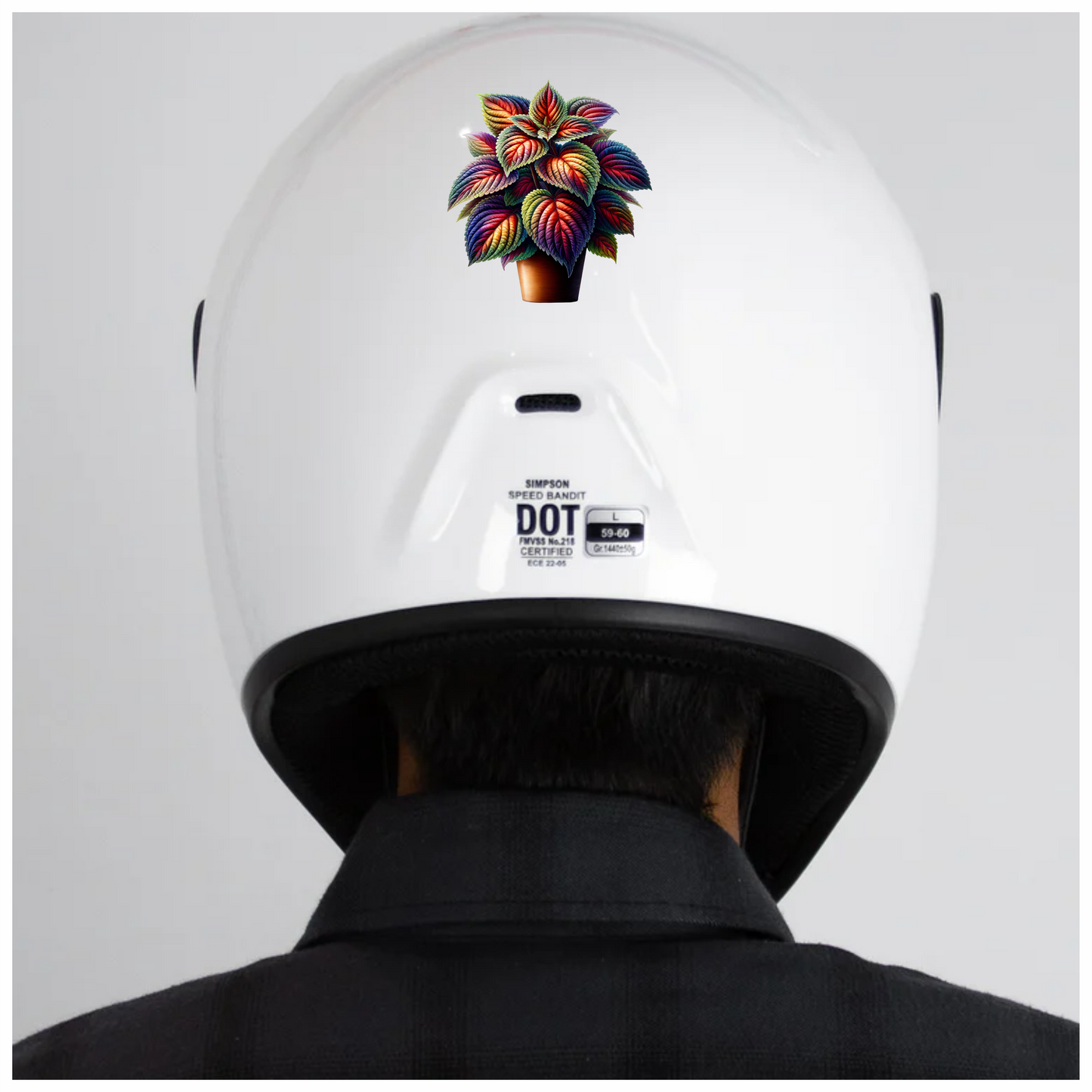 Colorful Leaves Plant Pot Vinyl Sticker Decal