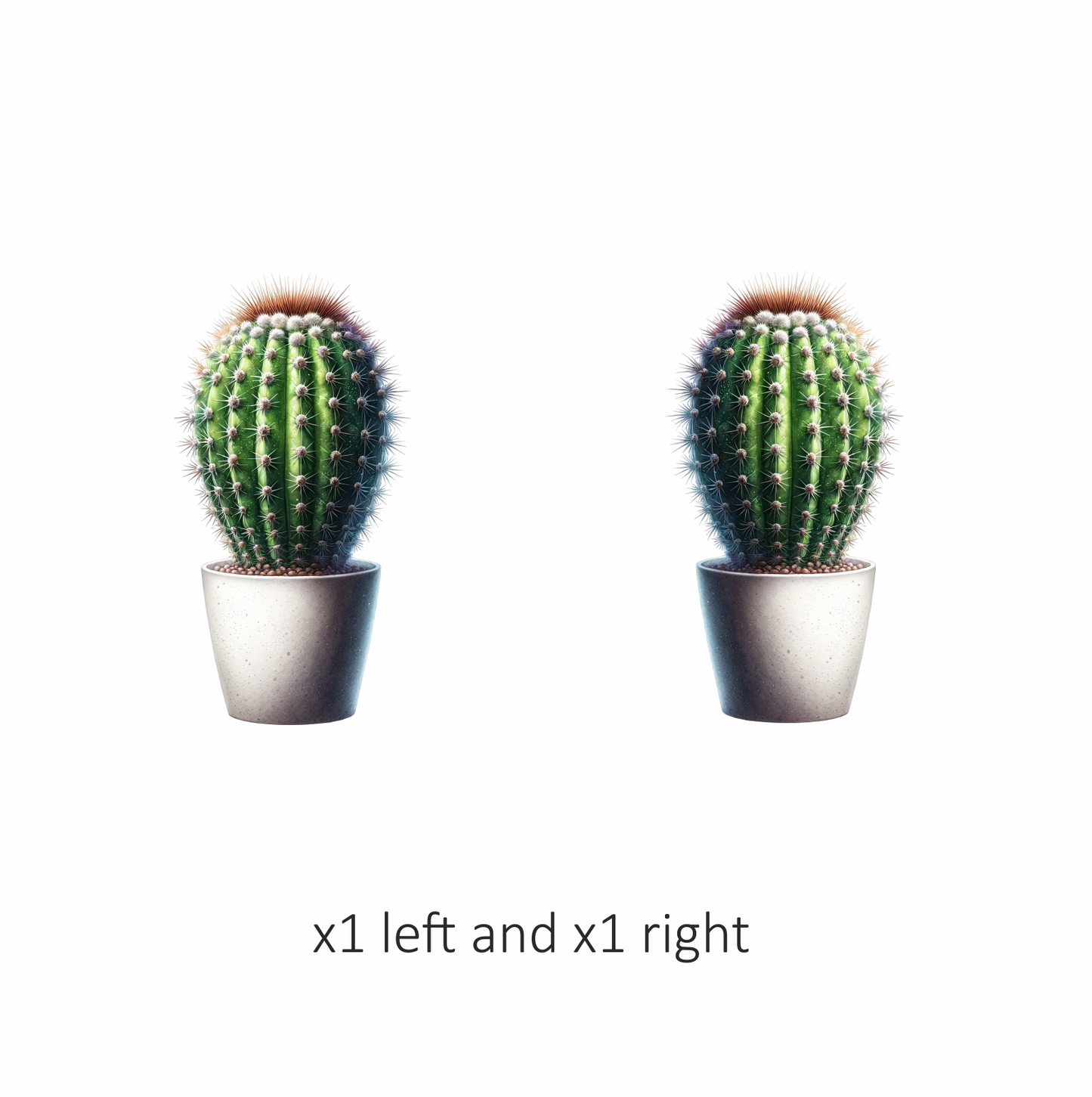 Cactus Green Pot Spiky Plant Vinyl Sticker Decal