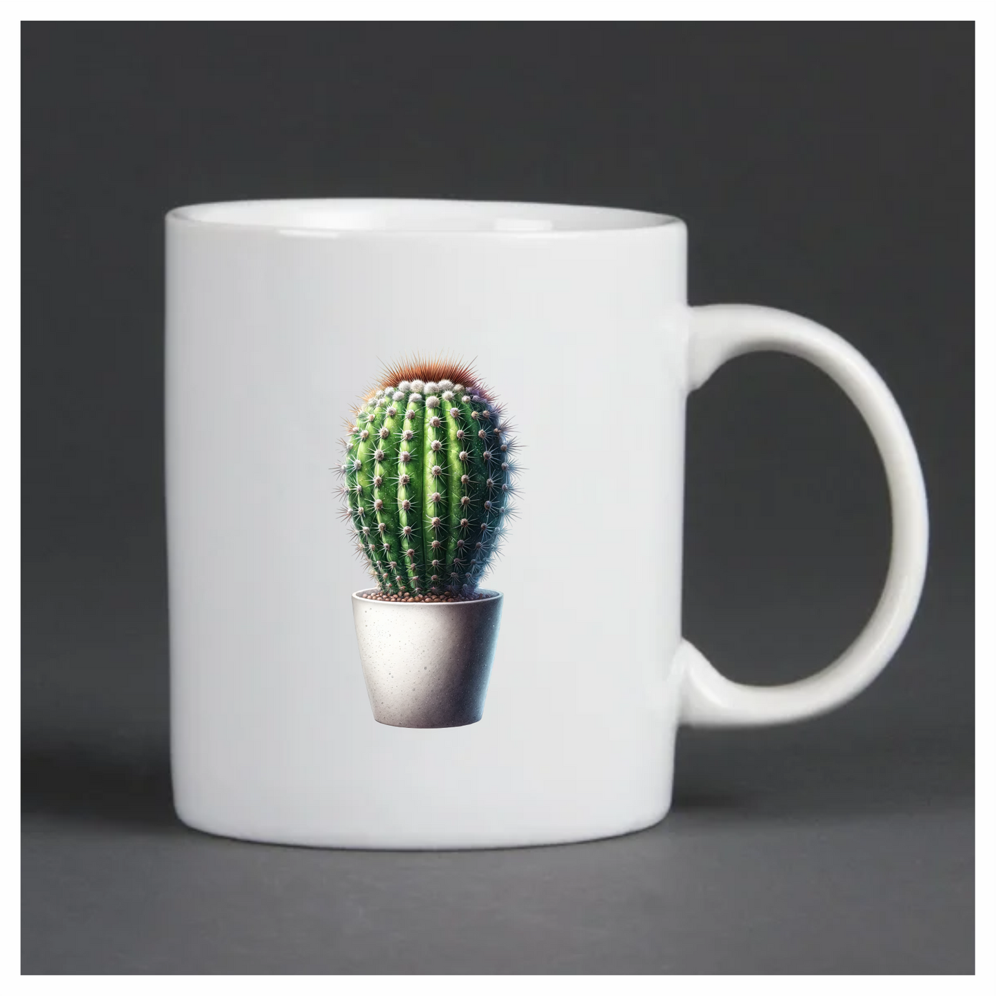 Cactus Green Pot Spiky Plant Vinyl Sticker Decal