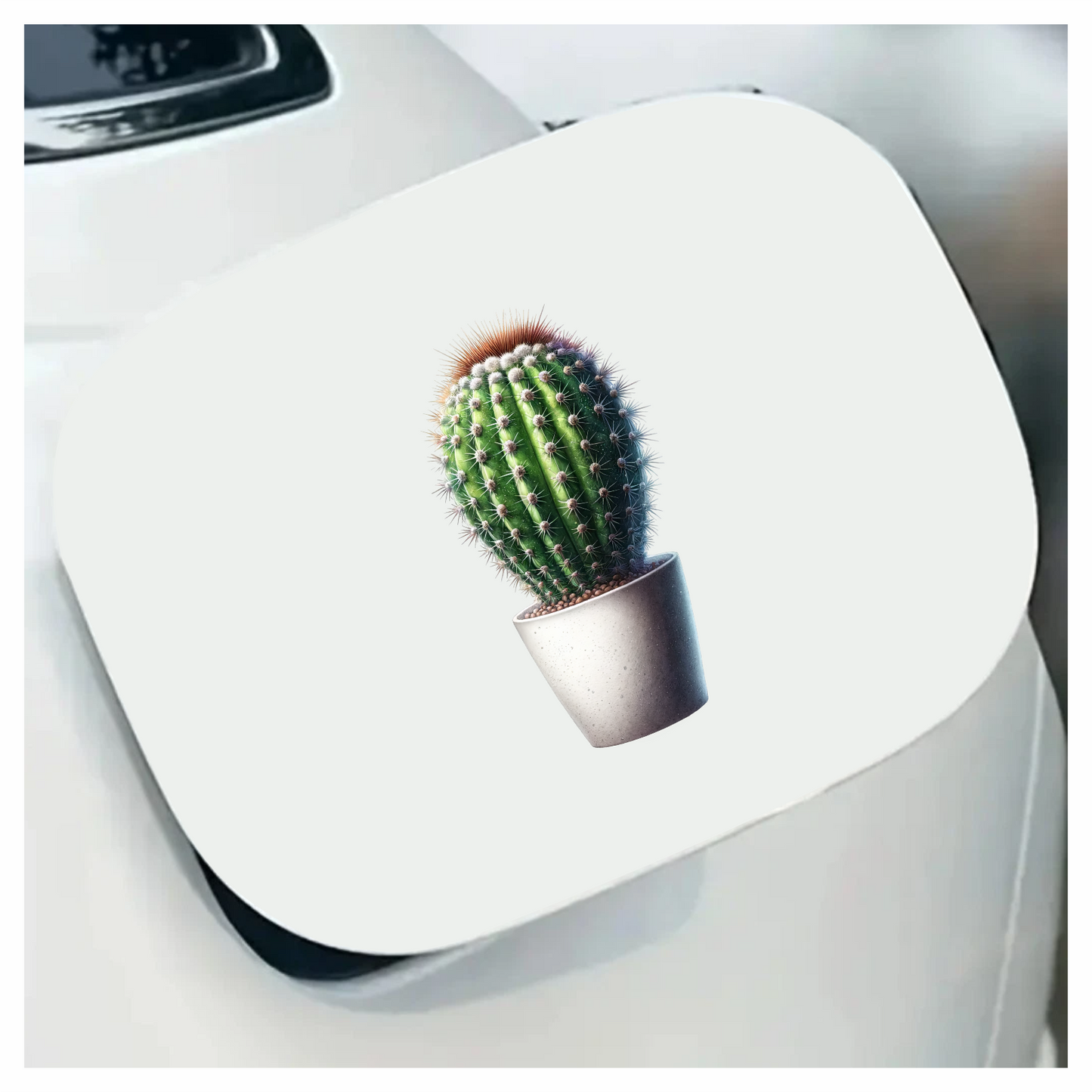 Cactus Green Pot Spiky Plant Vinyl Sticker Decal
