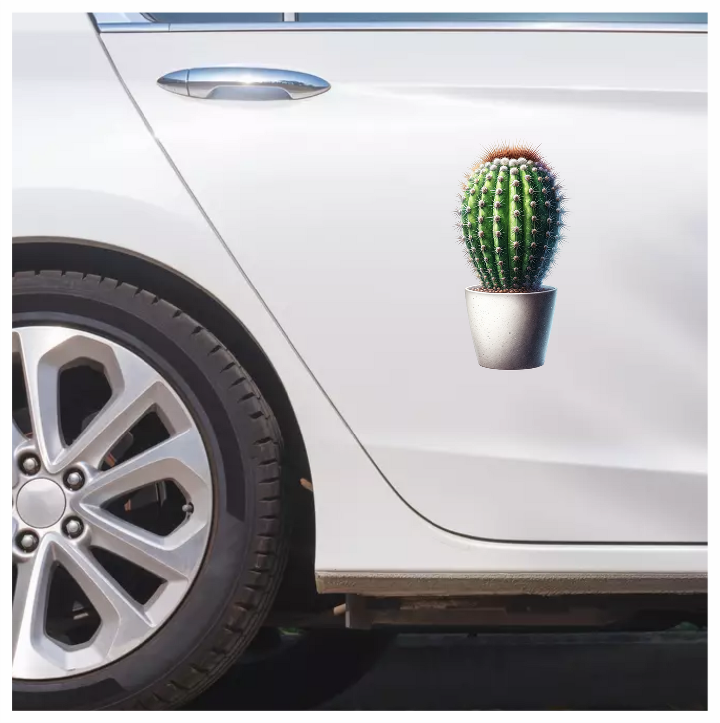 Cactus Green Pot Spiky Plant Vinyl Sticker Decal