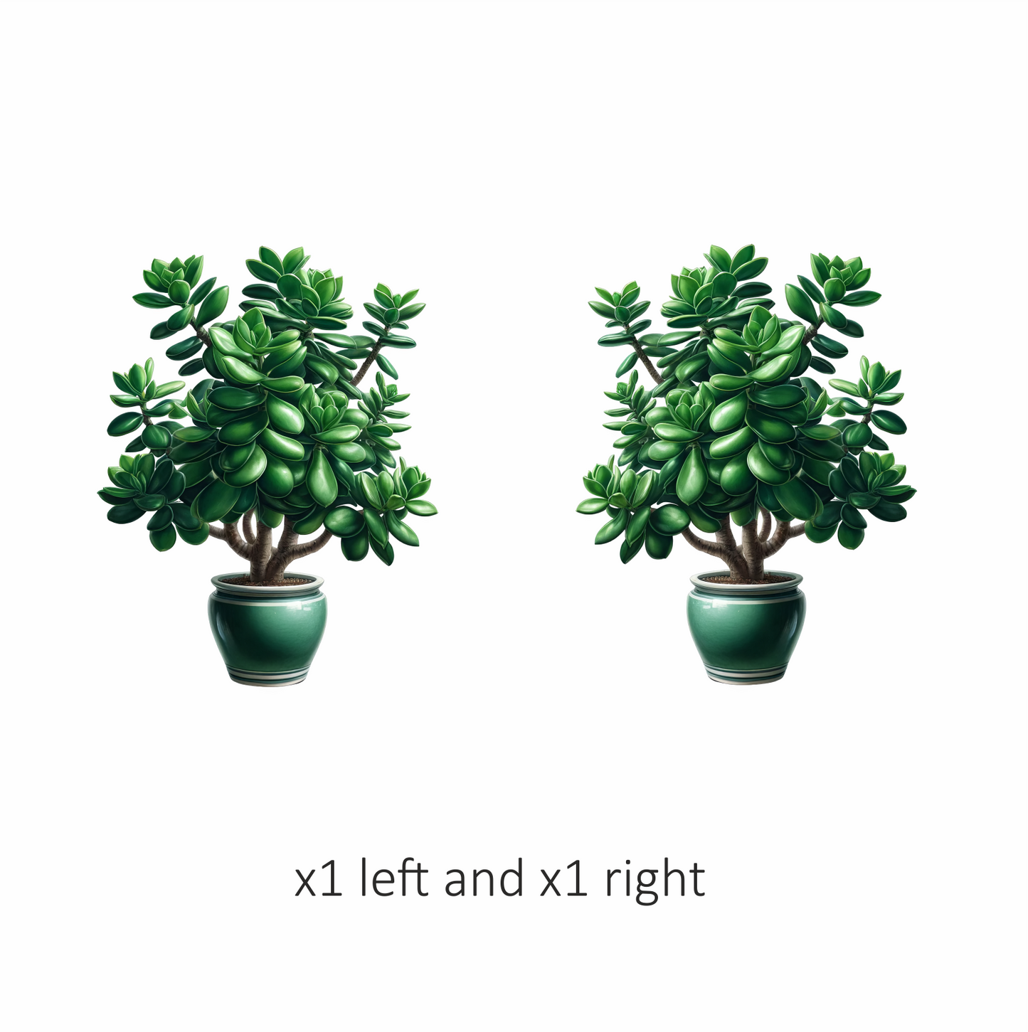 Green Plant Pot Succulent Simple Vinyl Sticker Decal