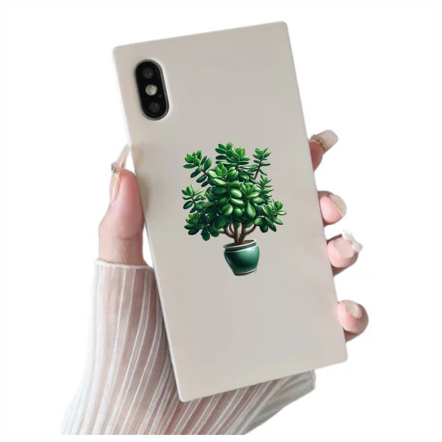 Green Plant Pot Succulent Simple Vinyl Sticker Decal