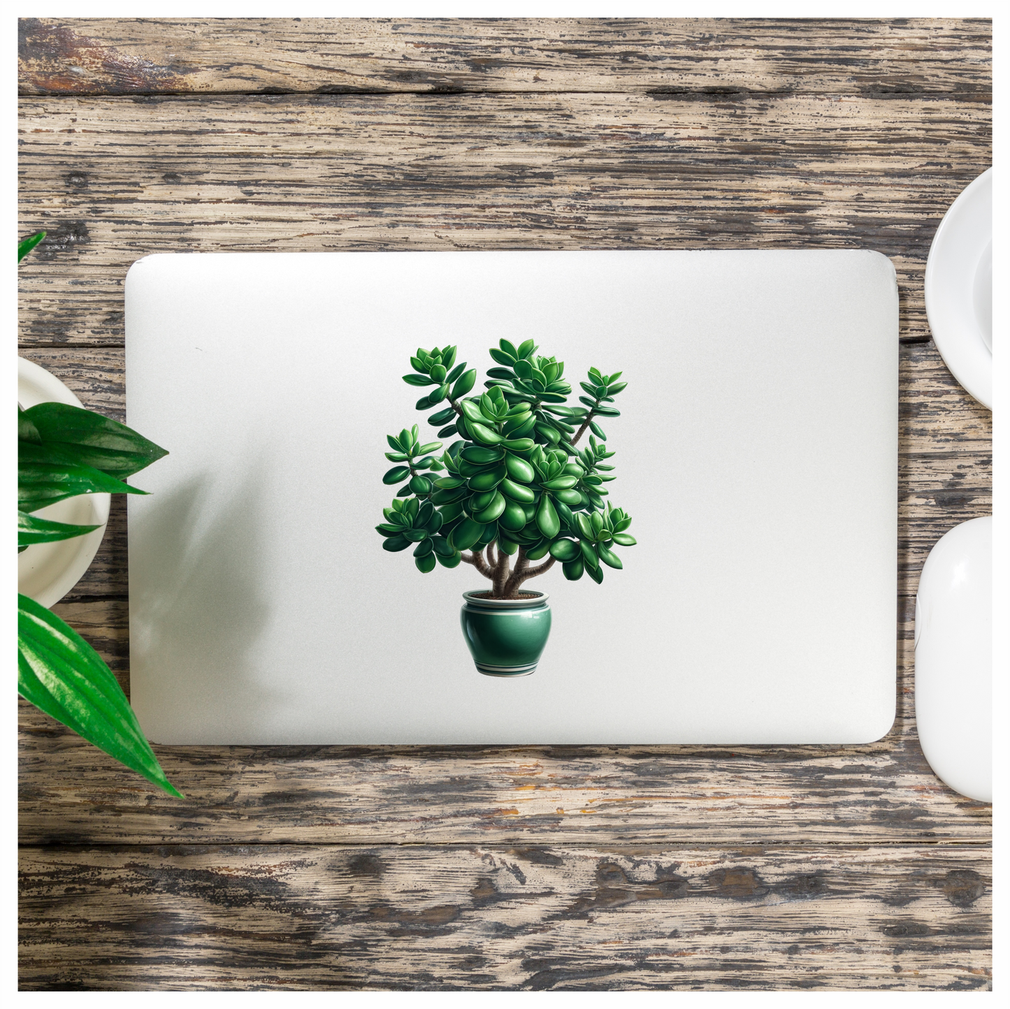 Green Plant Pot Succulent Simple Vinyl Sticker Decal