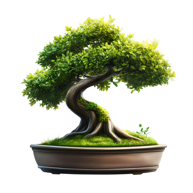 Bonsai Tree Green Pot Grass Vinyl Sticker Decal