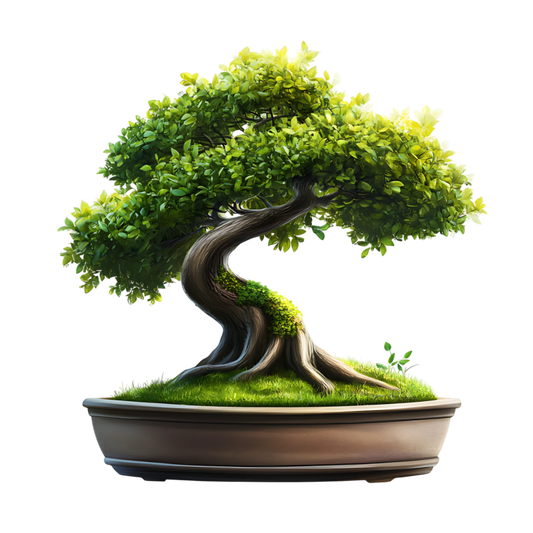 Bonsai Tree Green Pot Grass Vinyl Sticker Decal