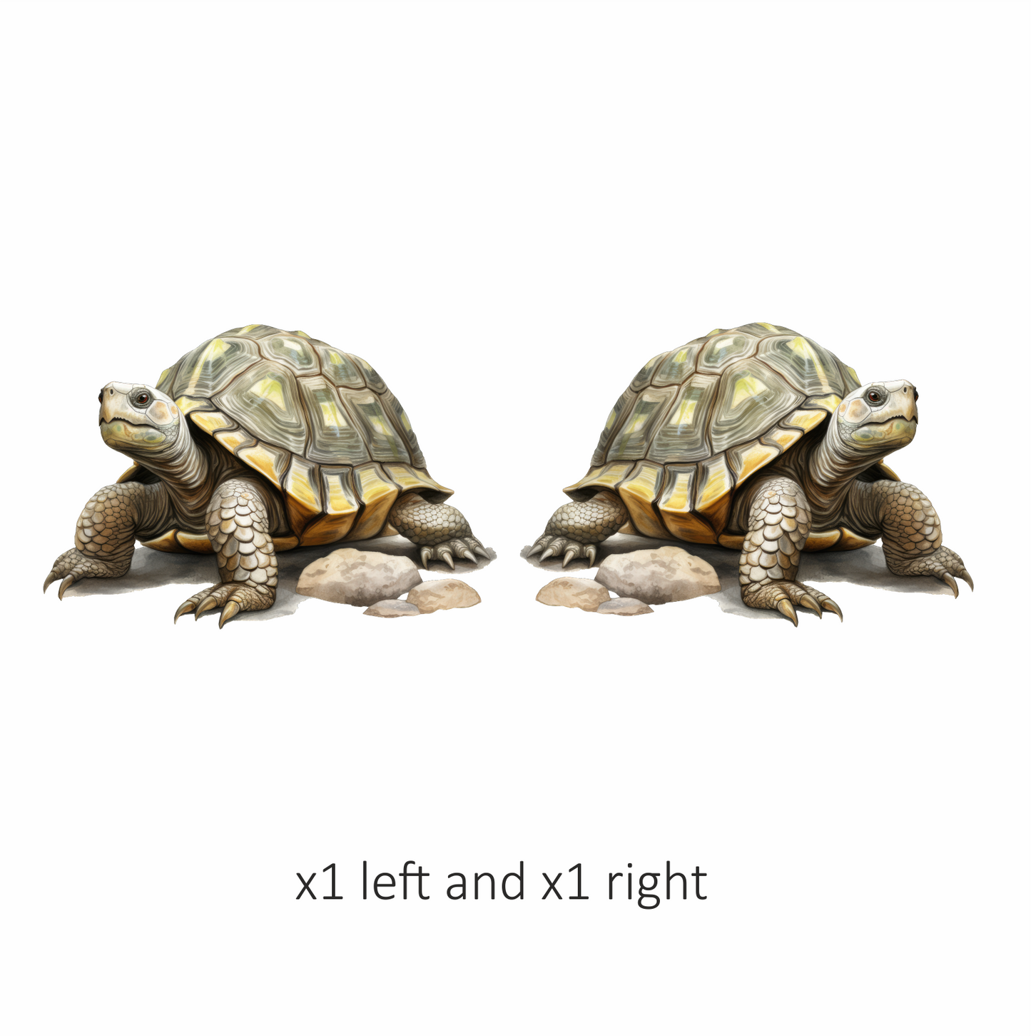 Tortoise Yellow Shell Rocks Vinyl Sticker Decal