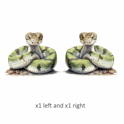 Green Snake Coiled Realistic Detailed Vinyl Sticker Decal