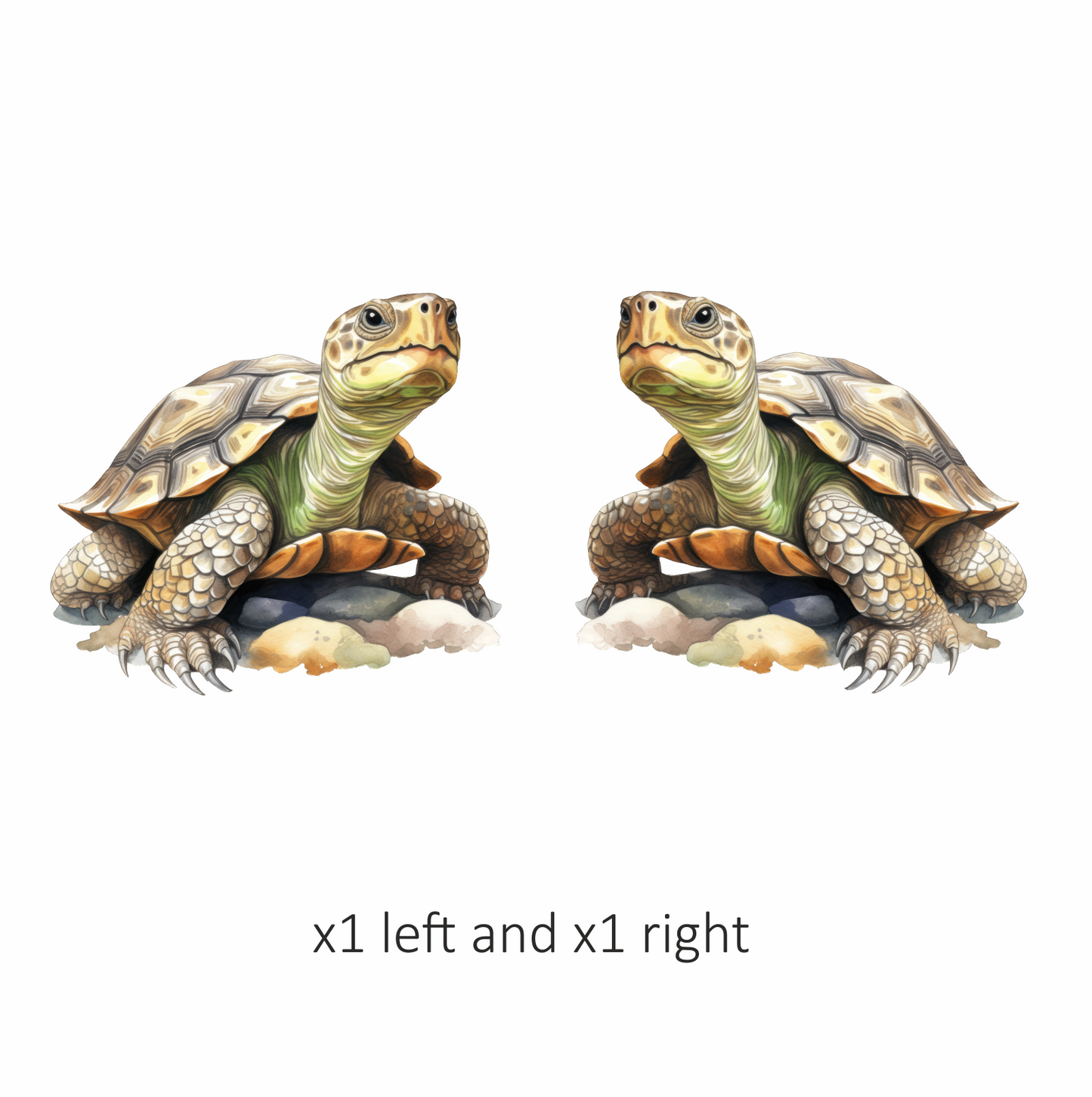 Turtle Green Desert Vinyl Sticker Decal