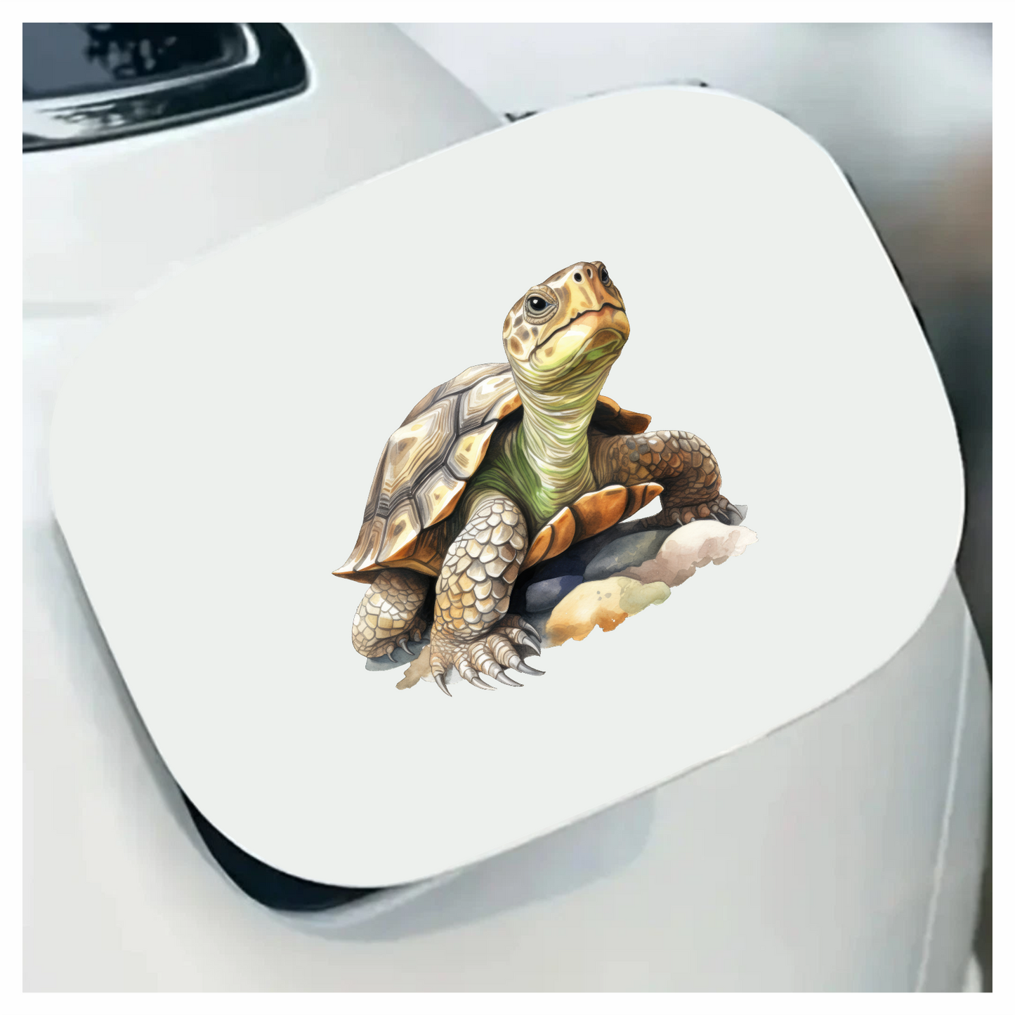 Turtle Green Desert Vinyl Sticker Decal