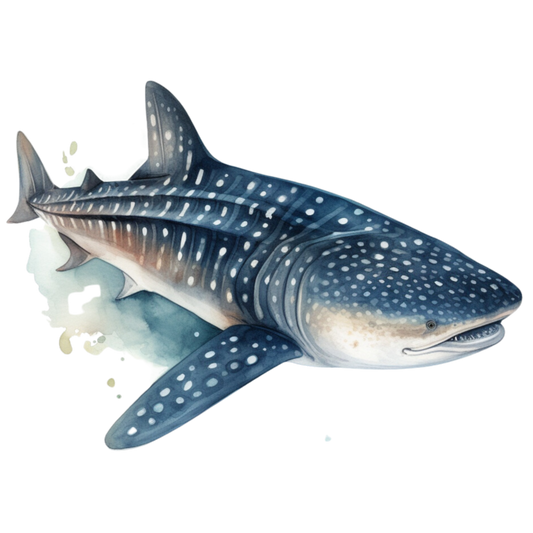 Whale Shark Blue Ocean Vinyl Sticker Decal