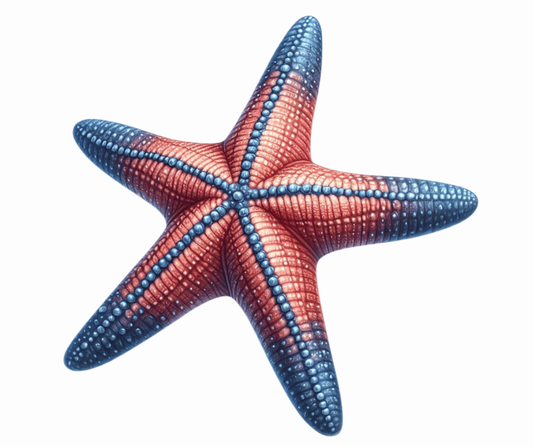 Starfish Red Blue Vinyl Sticker Decal