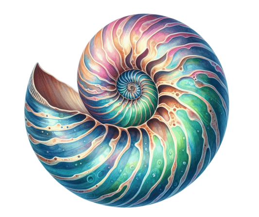 Shell Spiral Blue Nautilus Ocean Vinyl Sticker Decal