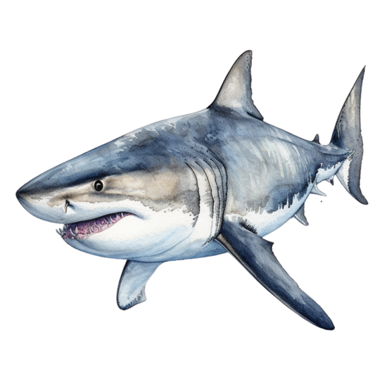 Shark Grey Watercolor Ocean Animal Vinyl Sticker Decal